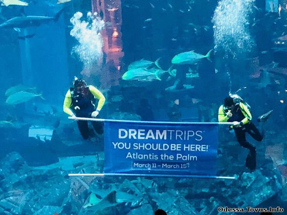 Предлагаю работу Клуб путешественников Дримтрипс Украина (DreamTrips Odessa) Новое (Одесса)